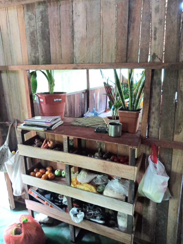 Centro Yacuruna plantas medicinales 5