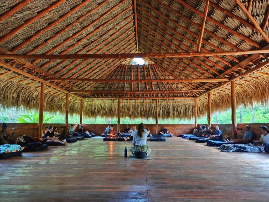 Lawayra (Ayahuasca in Colombia) 7