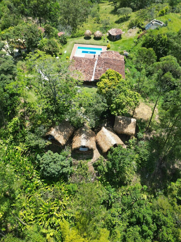 Lawayra (Ayahuasca in Colombia) 8