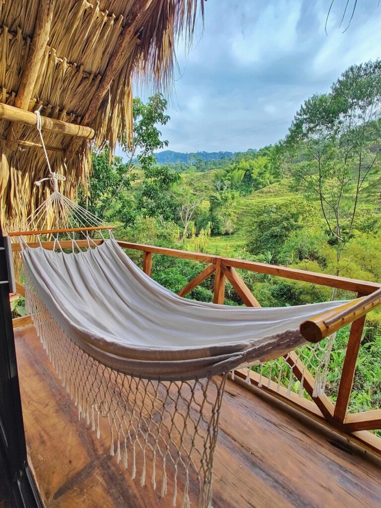 Lawayra (Ayahuasca in Colombia) 5