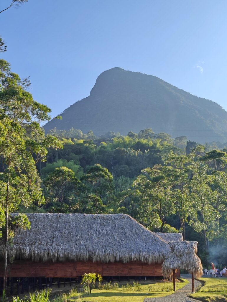 Lawayra (Ayahuasca in Colombia) 4