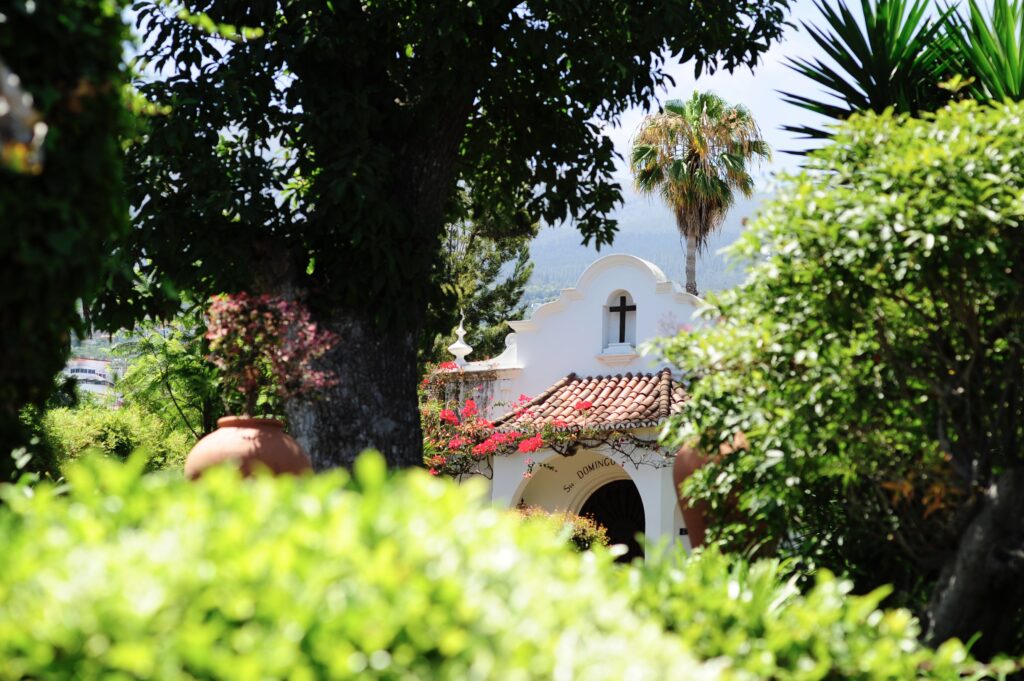 Women‘s Sensual Retreats in Tenerife 7