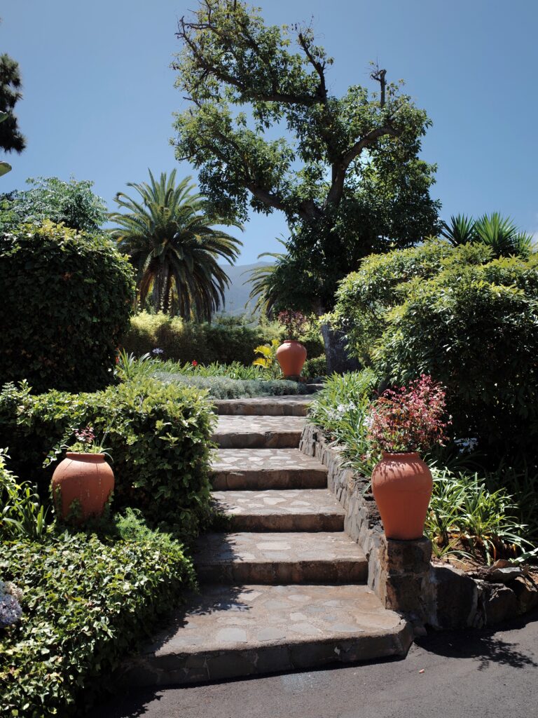Women‘s Sensual Retreats in Tenerife 5