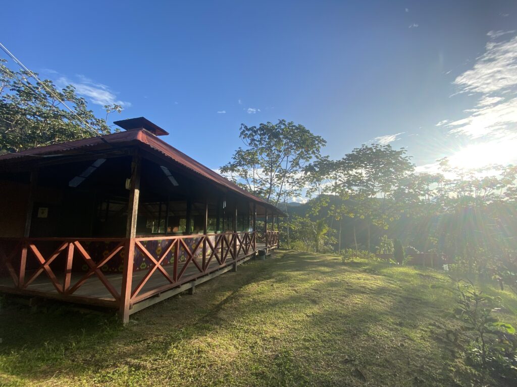 Amazonia Moyano Ayahuasca Healing Center 8