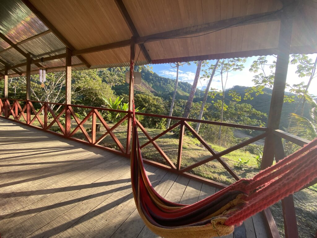Amazonia Moyano Ayahuasca Healing Center 7