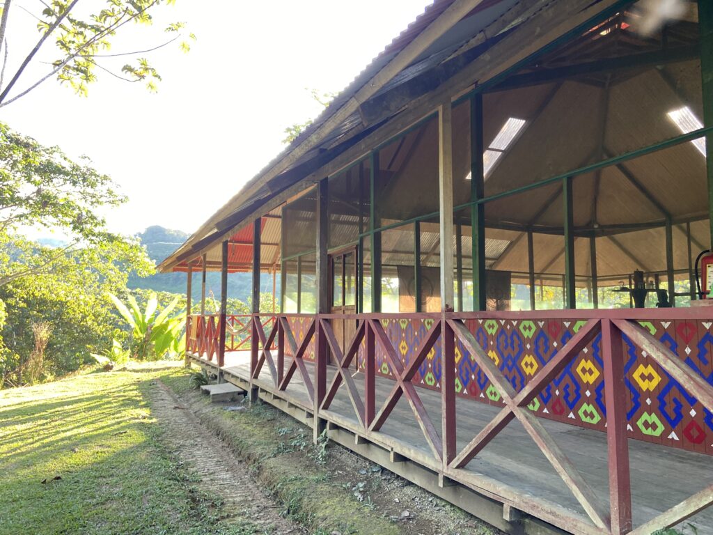 Amazonia Moyano Ayahuasca Healing Center 4