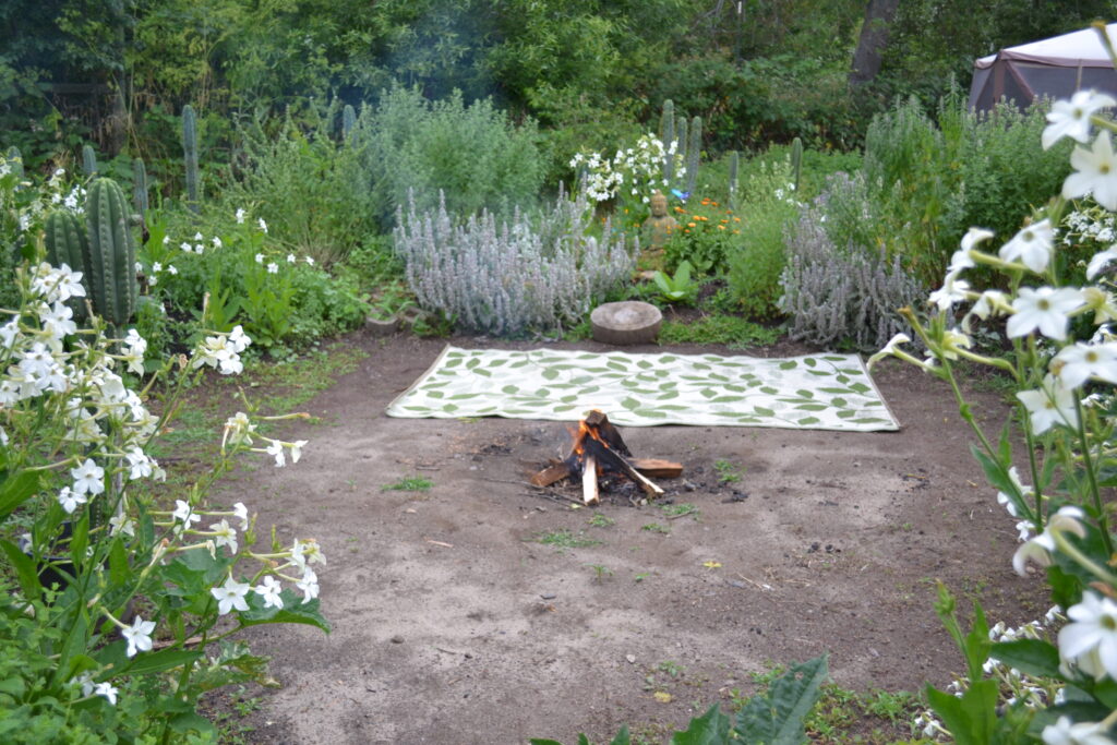 Hummingbird Hearth 2
