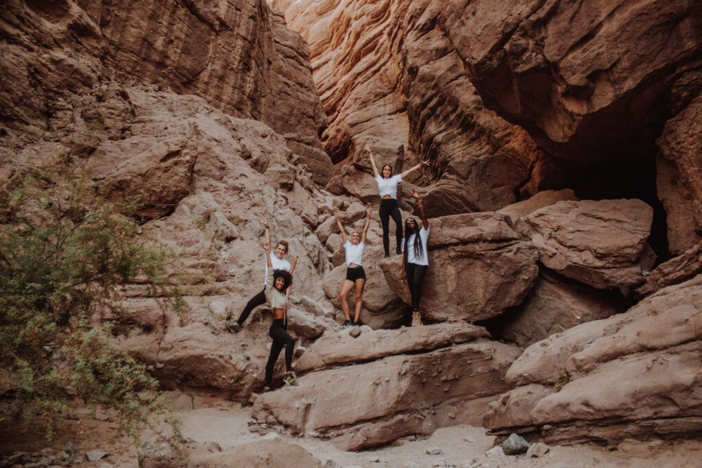 Island Tribe Wellness