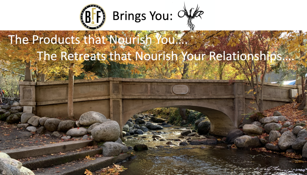 Oregon Wellness Retreat 7