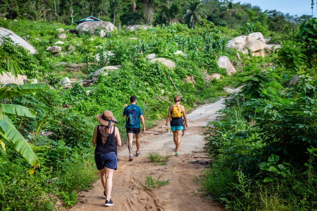 Visit Natural Detox Resort 4