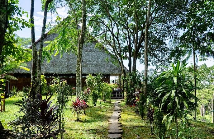 Flower of Life Ayahuasca Retreats