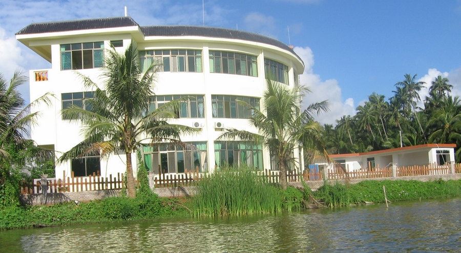 Zhineng Qigong Retreats 8
