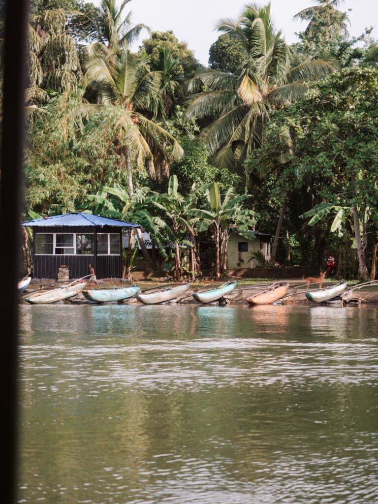 Coconut Retreats 8