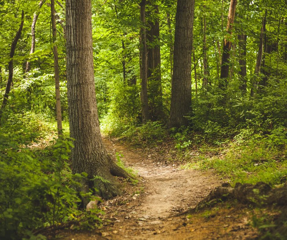 Walking & Hiking Retreats for Involuntarily Childless