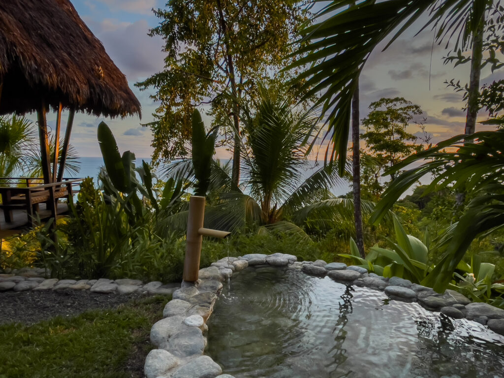 Finca Exótica 2