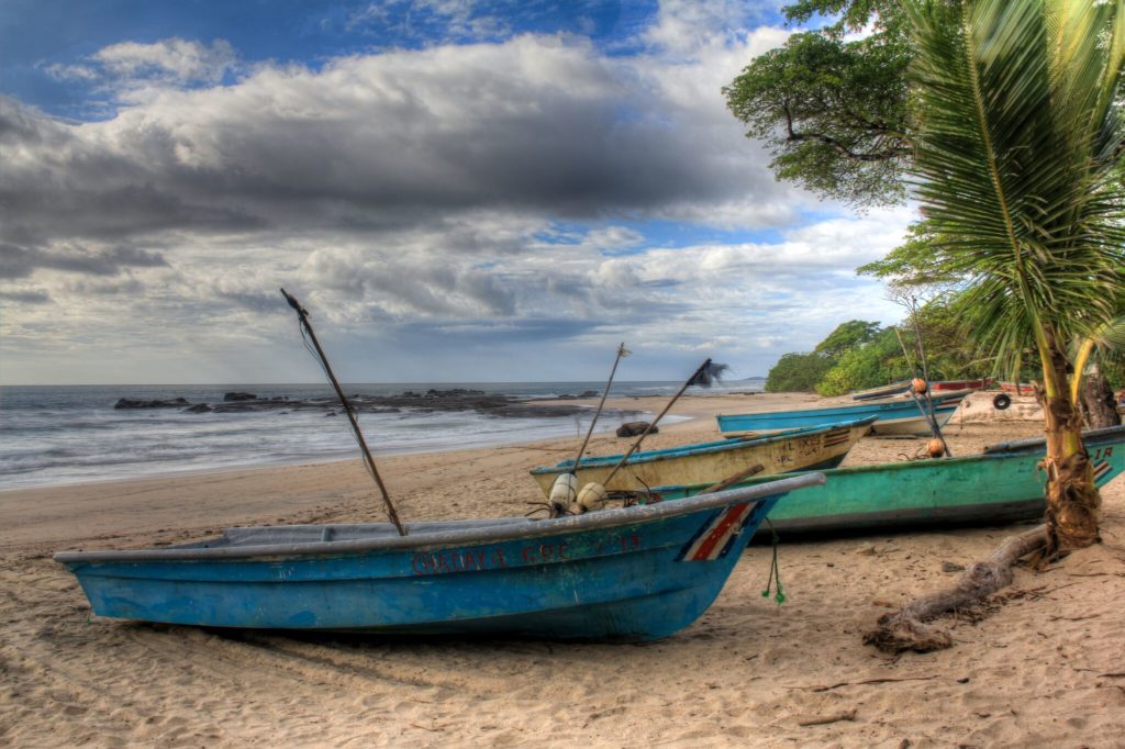 Safari Surf School 8