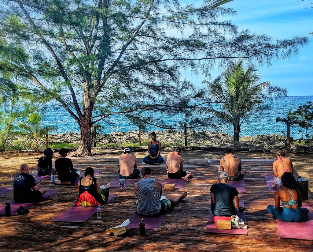 One Psilocybin Retreats Jamaica 6