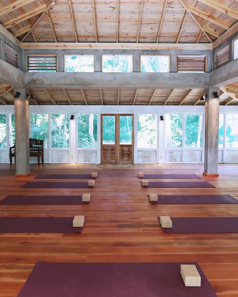 One Psilocybin Retreats Jamaica 5
