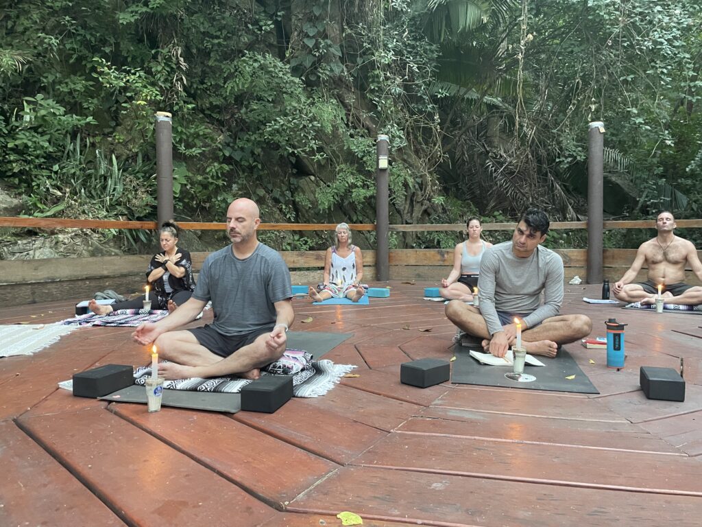 VIKARA WELLNESS 2
