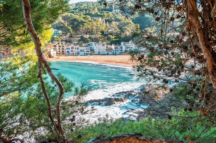 6-Day Exclusive Bufo Retreat in Costa Brava, Spain