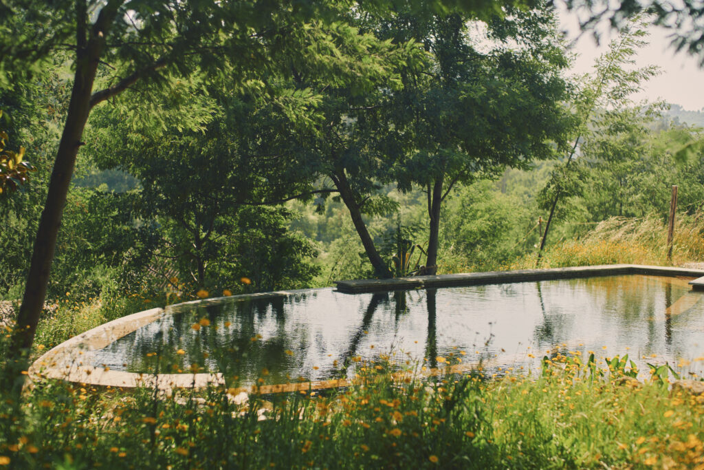 Cara Creek Eco Lodge 4