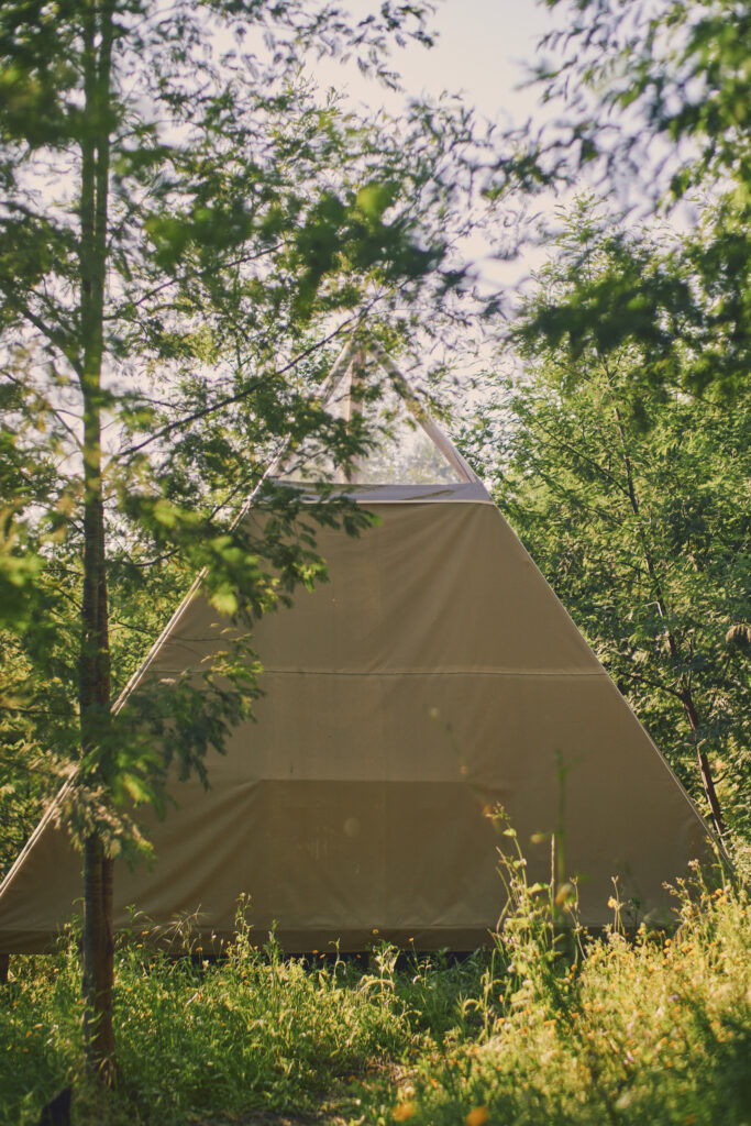 Cara Creek Eco Lodge 5