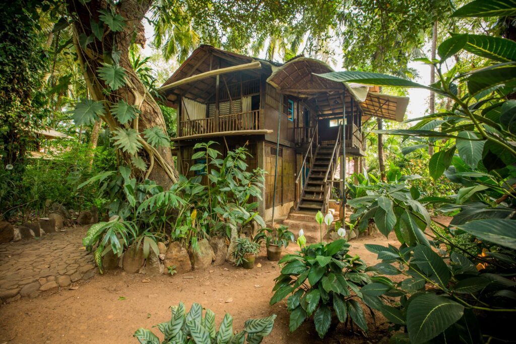 Advaitashram 8