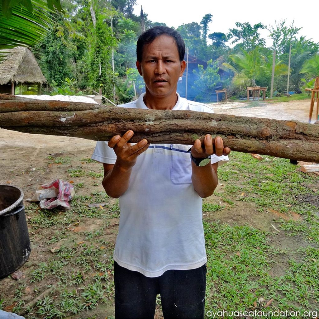 Ayahuasca Foundation 8