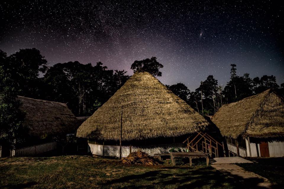 Ayahuasca Foundation 4