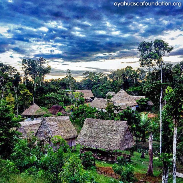 Ayahuasca Foundation