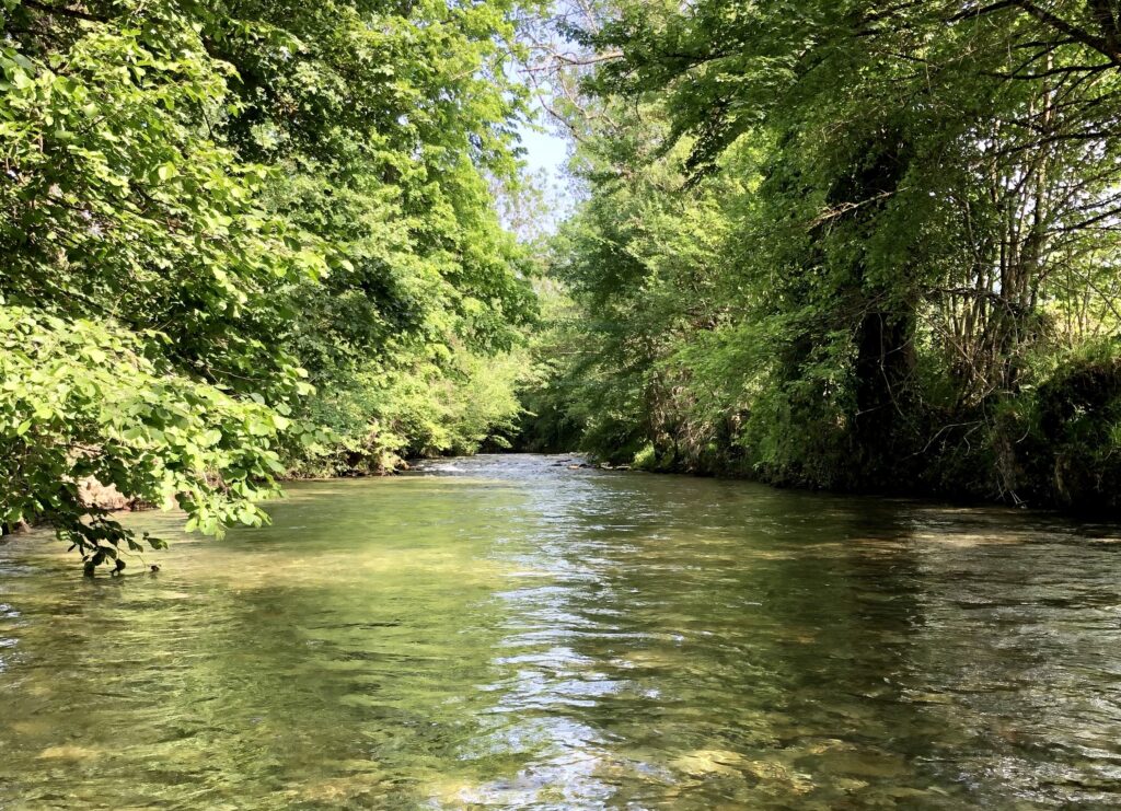 Roulotte Retreats 3