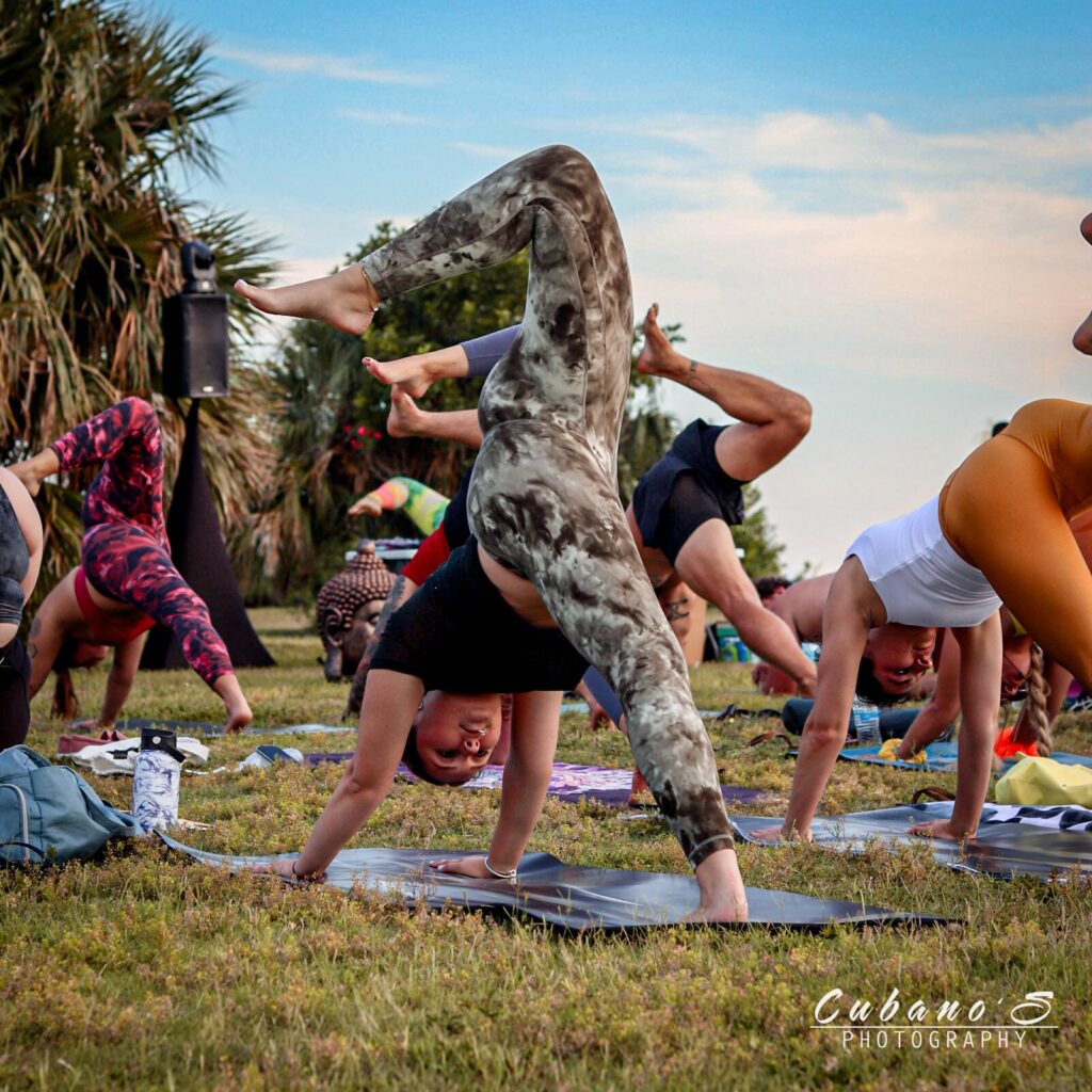 Yogi Euphoria 8