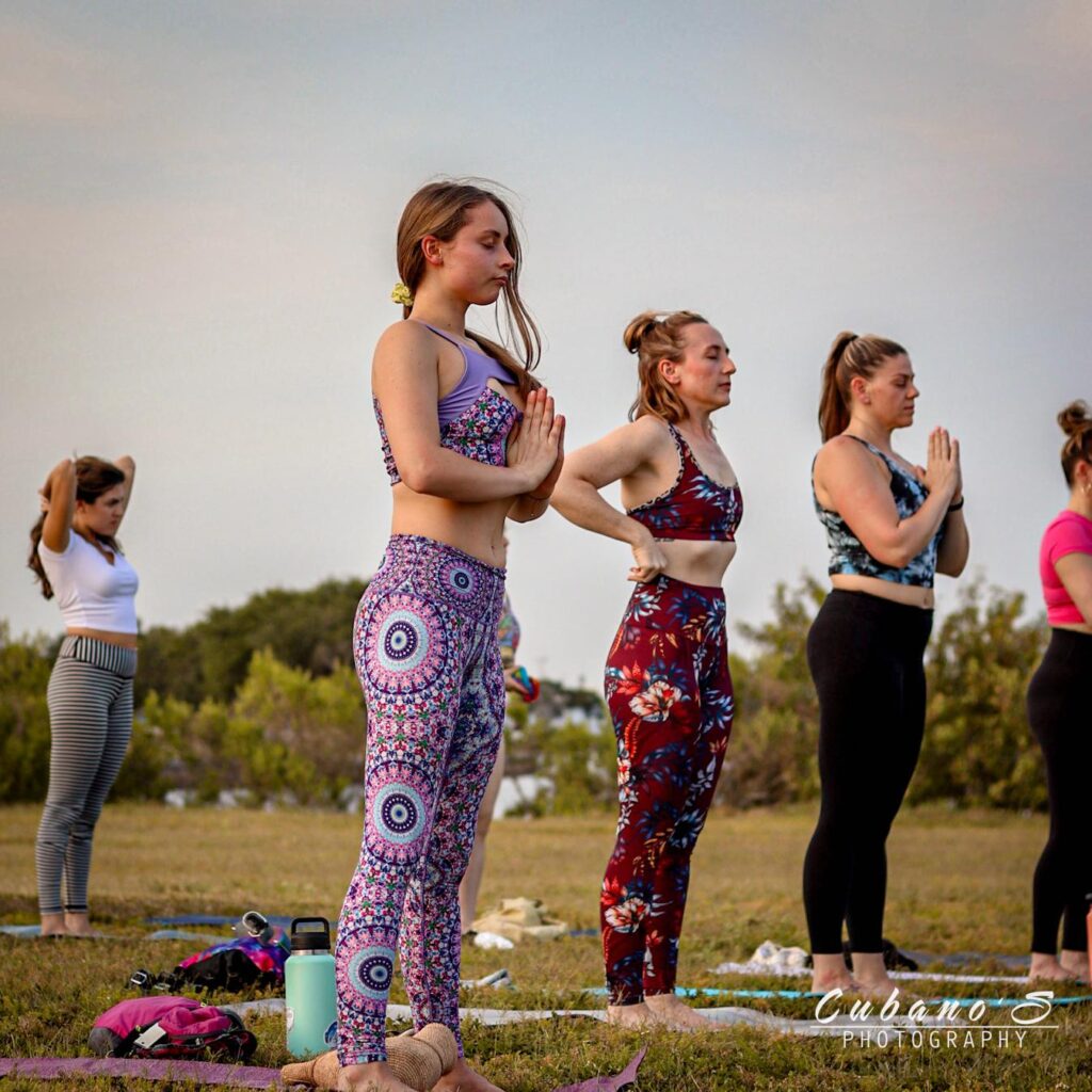 Yogi Euphoria 7