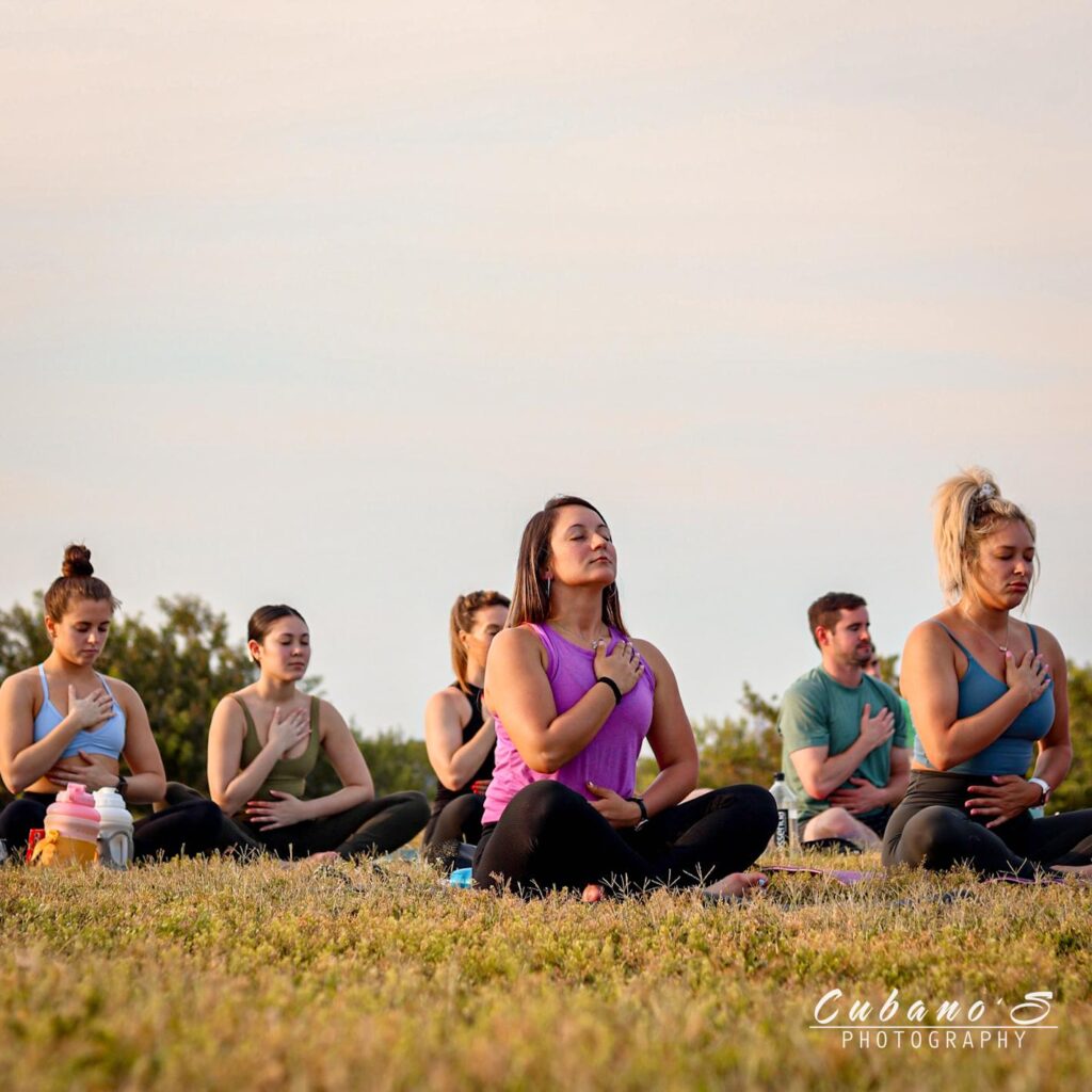 Yogi Euphoria 3