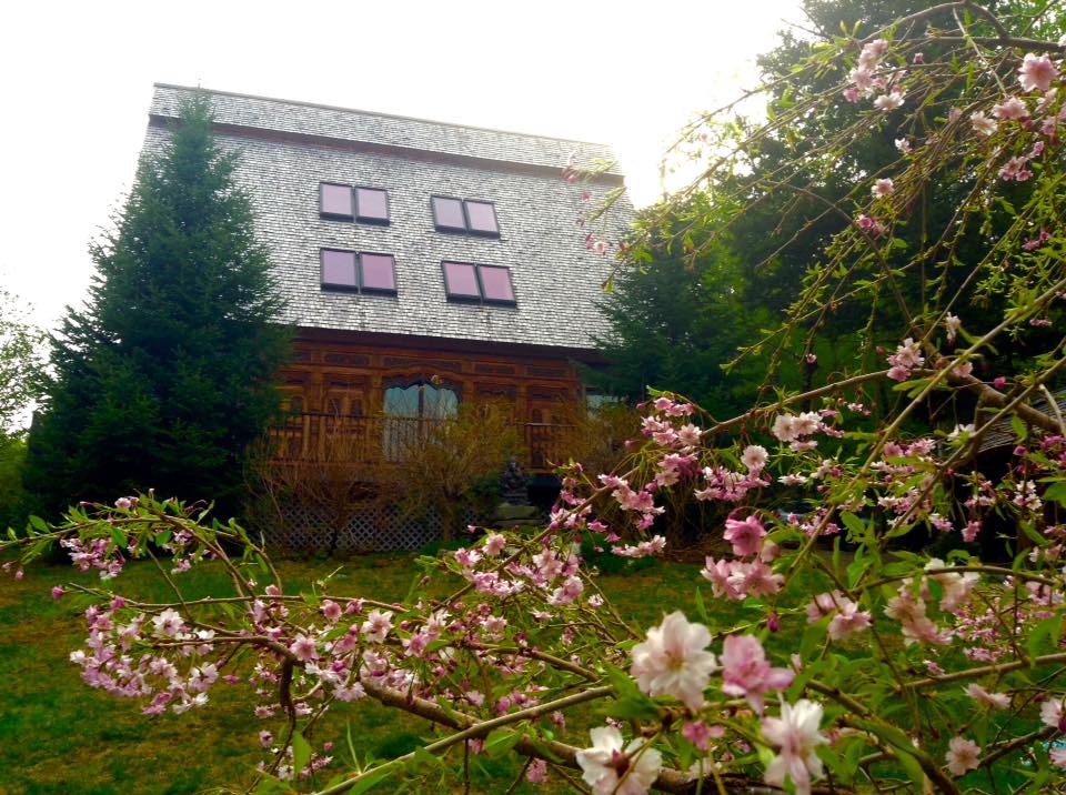 Sat Manav Yoga Ashram 7