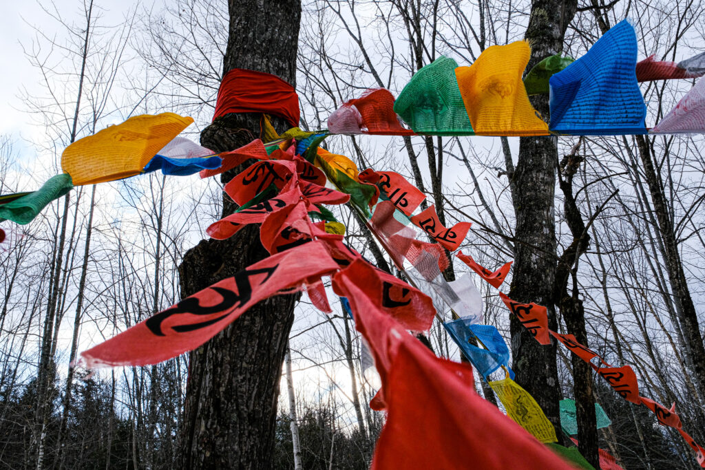 Sat Manav Yoga Ashram 6
