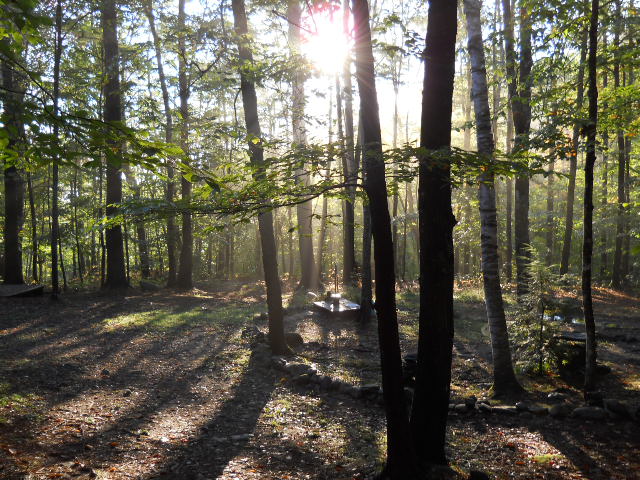 Sat Manav Yoga Ashram 2