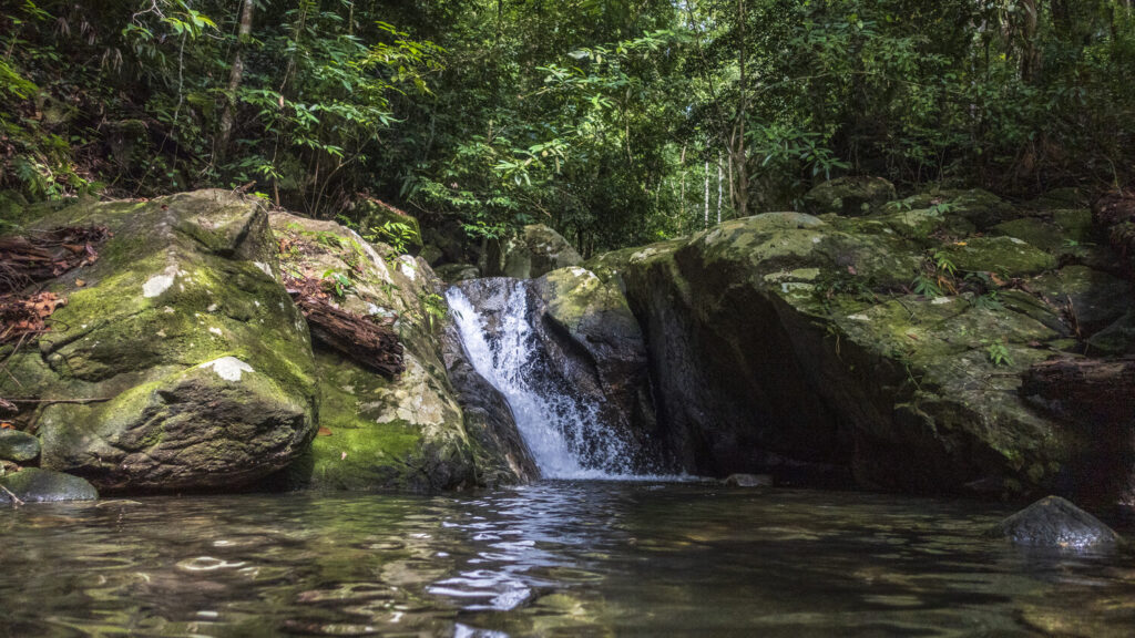 The Source 3