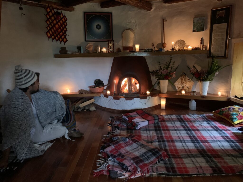 My Plant Medicine Journey 4