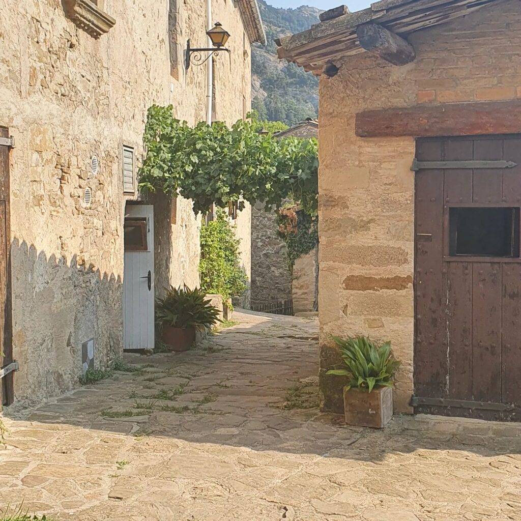 Santoshi 7