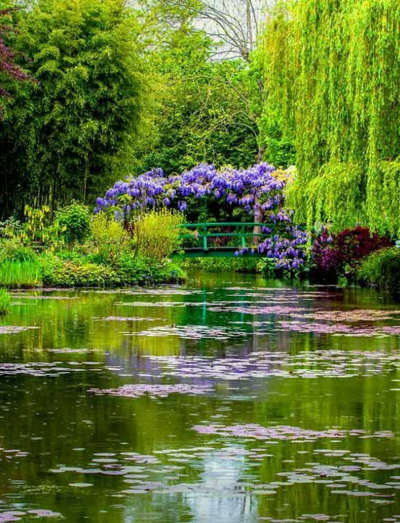 Journey To France Wellness Retreat 5