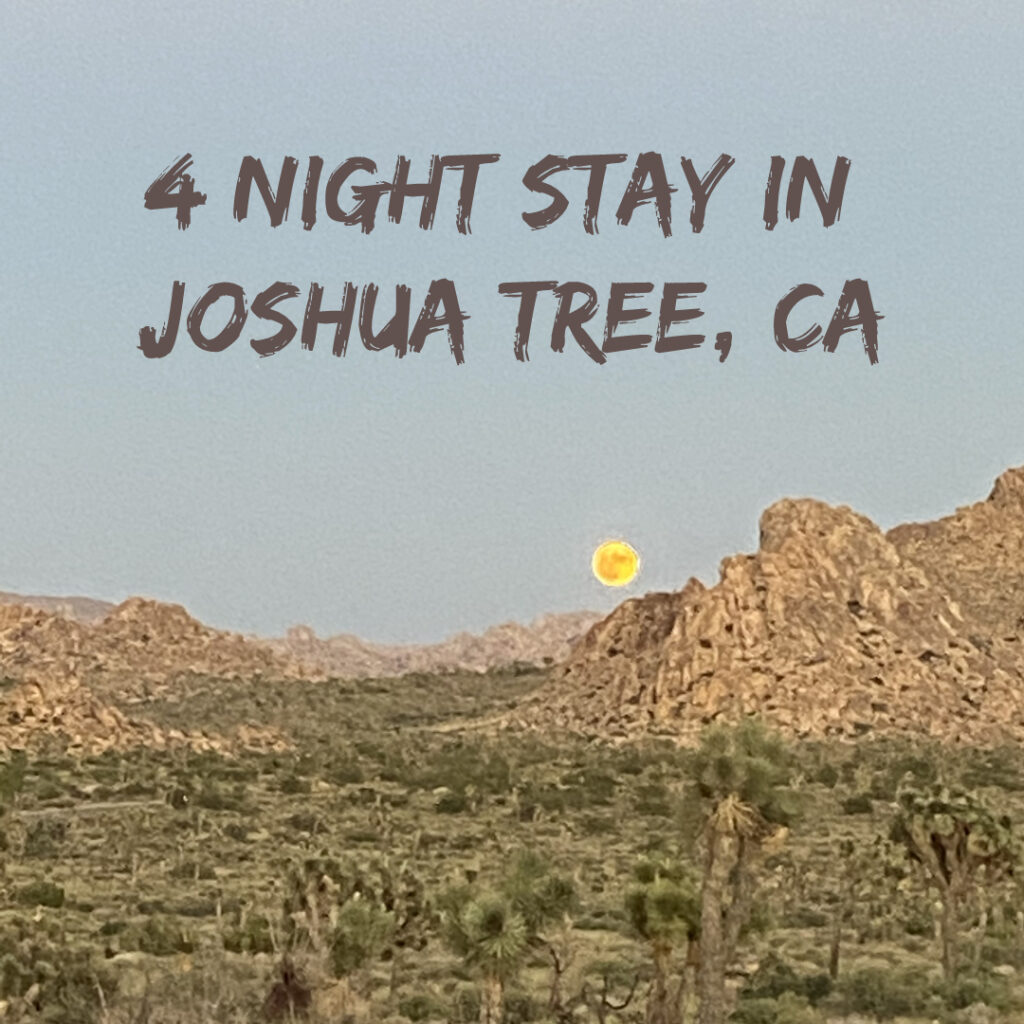 Joshua Tree Retreat with Pure Free Forever 3