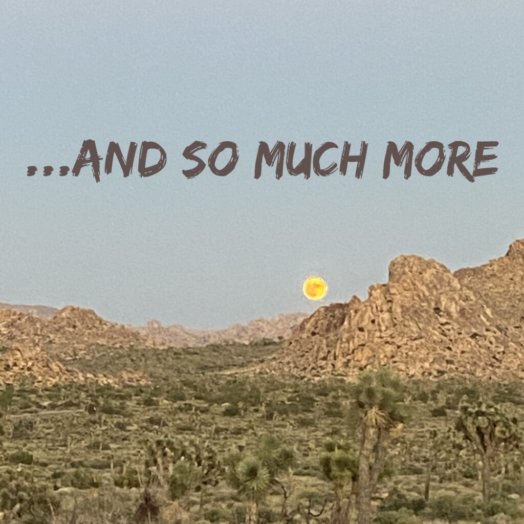 Joshua Tree Retreat with Pure Free Forever 4