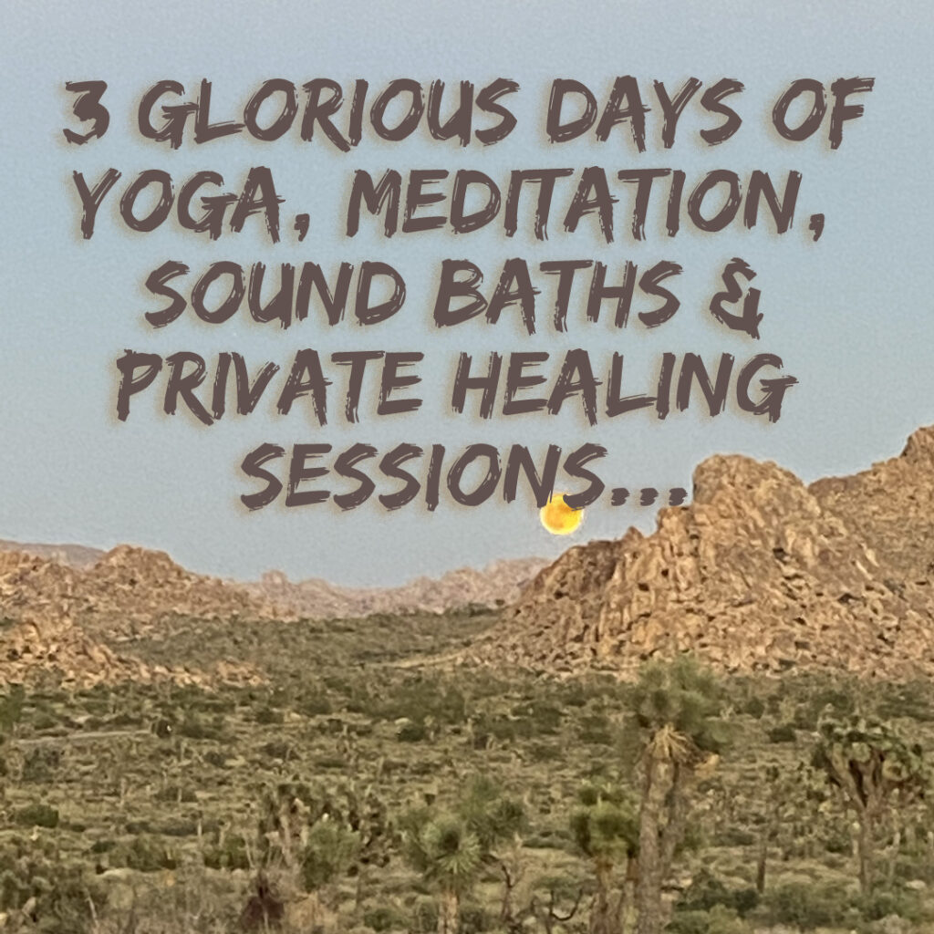 Joshua Tree Retreat with Pure Free Forever 2