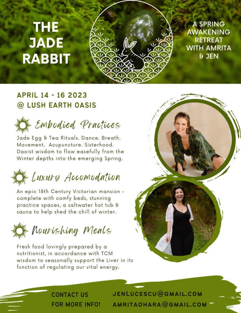 The Jade Rabbit 6
