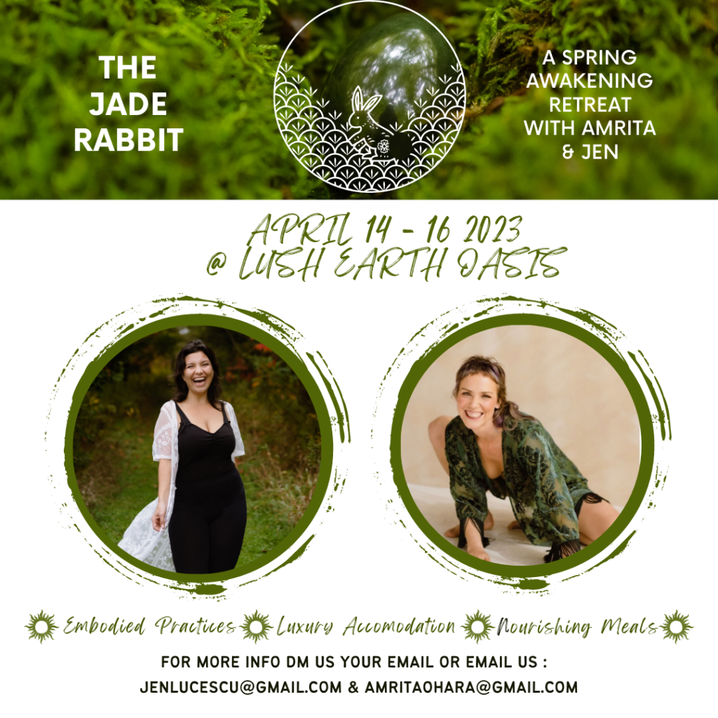 The Jade Rabbit 7