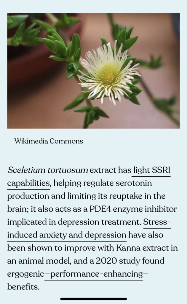 Plant Medicine Transformational Weekend 7
