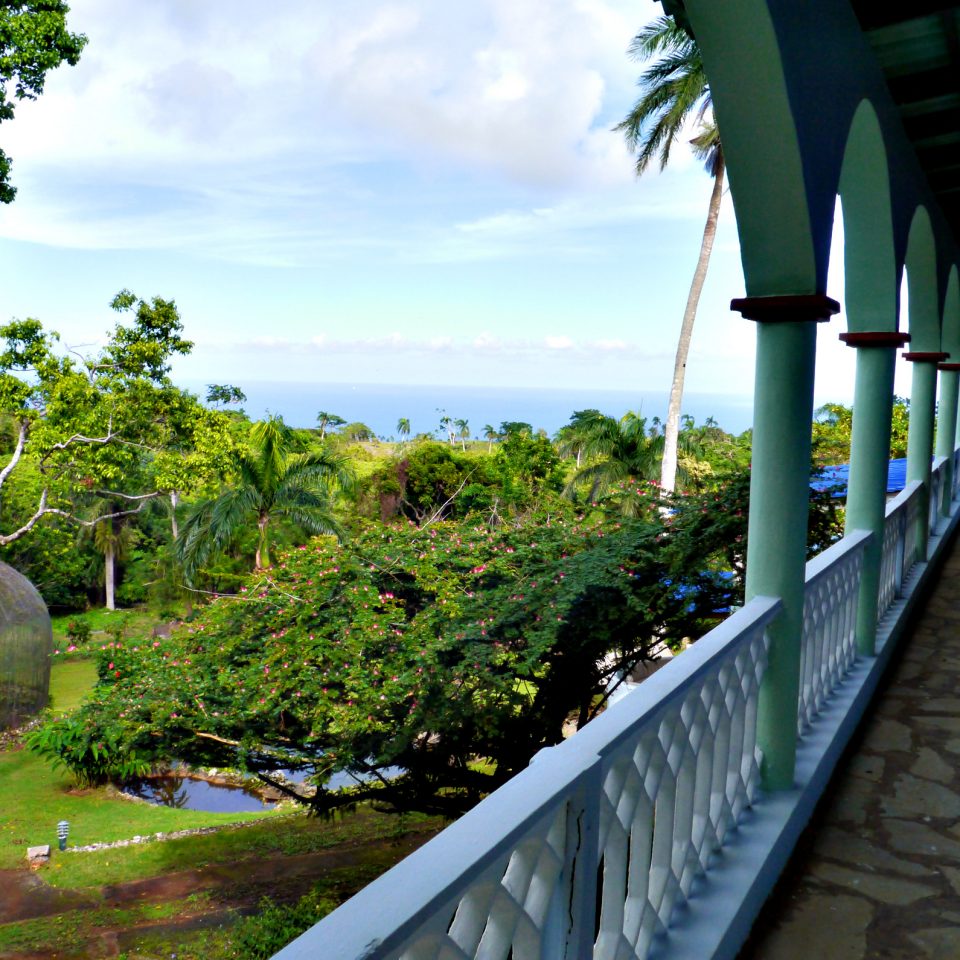 The Golden Dolphin Villa Estate 8