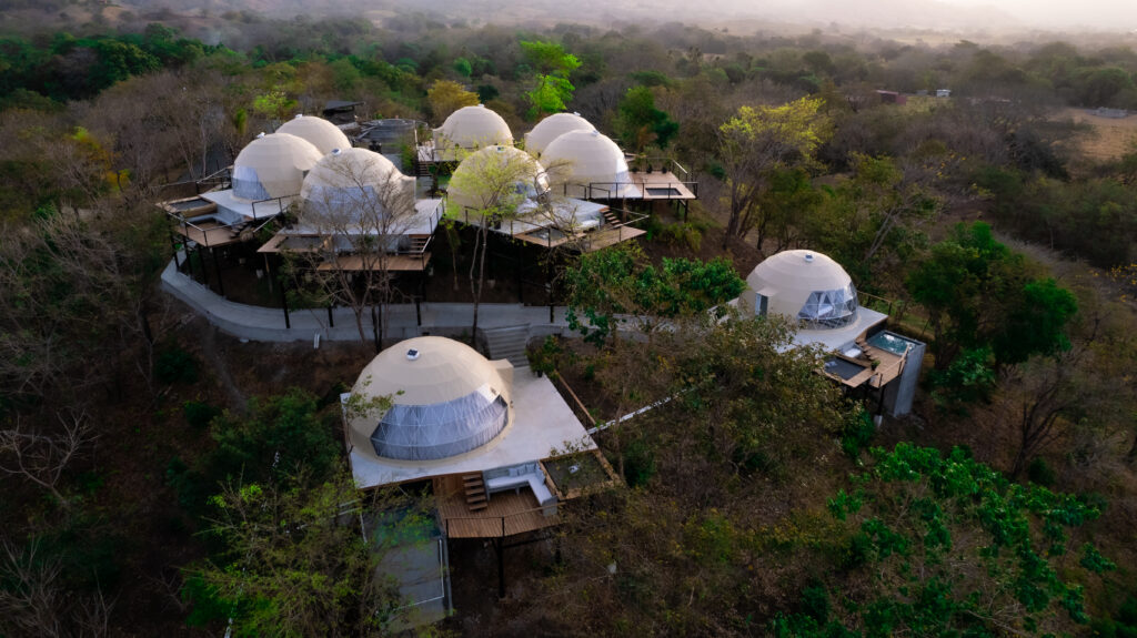 Alaya Panama 8