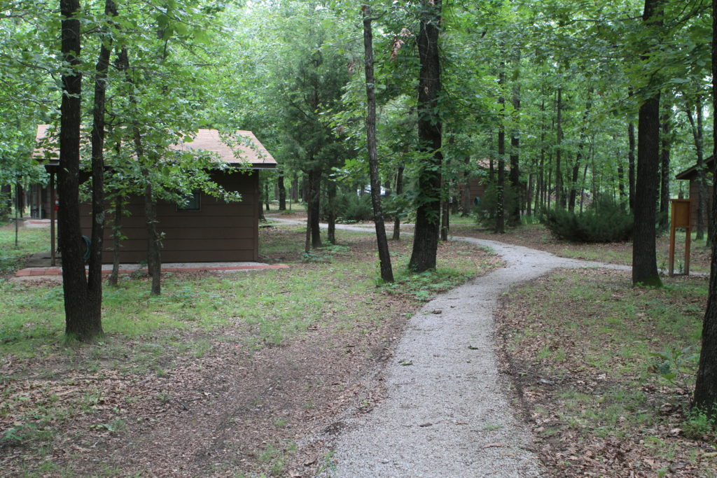 Osage Forest of Peace 6
